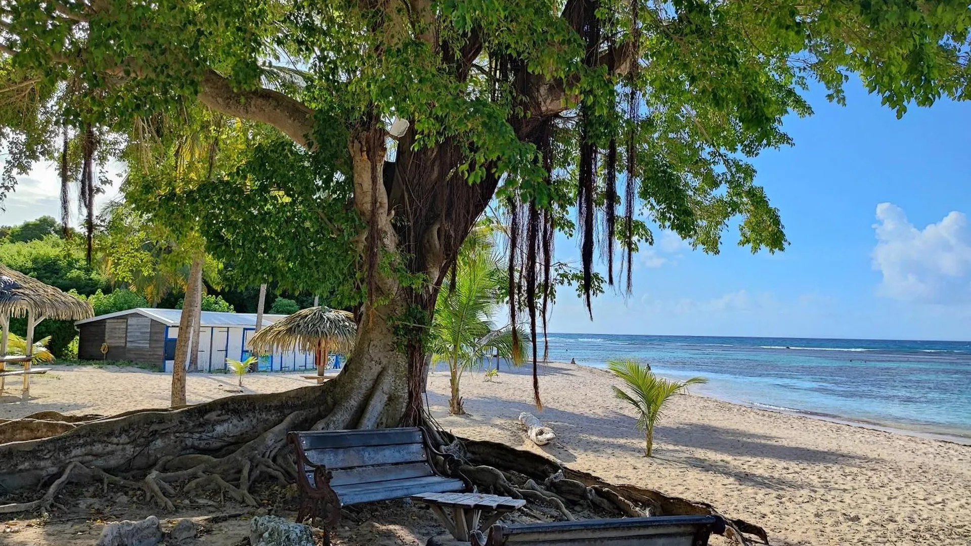 Appartement Studio Kawane Anse Des Rochers 303 Rdc, Cote Mer Saint-Francois  Guadeloupe
